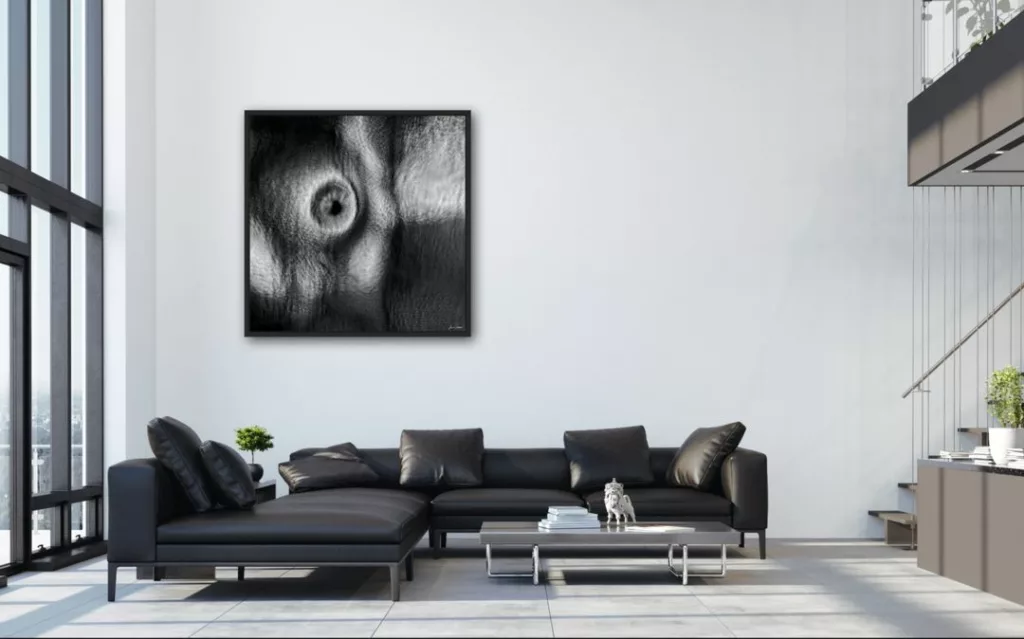 'Eye See You' (in situ) - Abstract Art by Jane Trotter