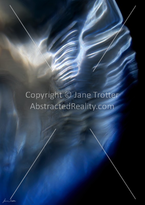'Angel Wing' - Abstract Art by Jane Trotter